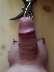 male cock and ball squeezing torture